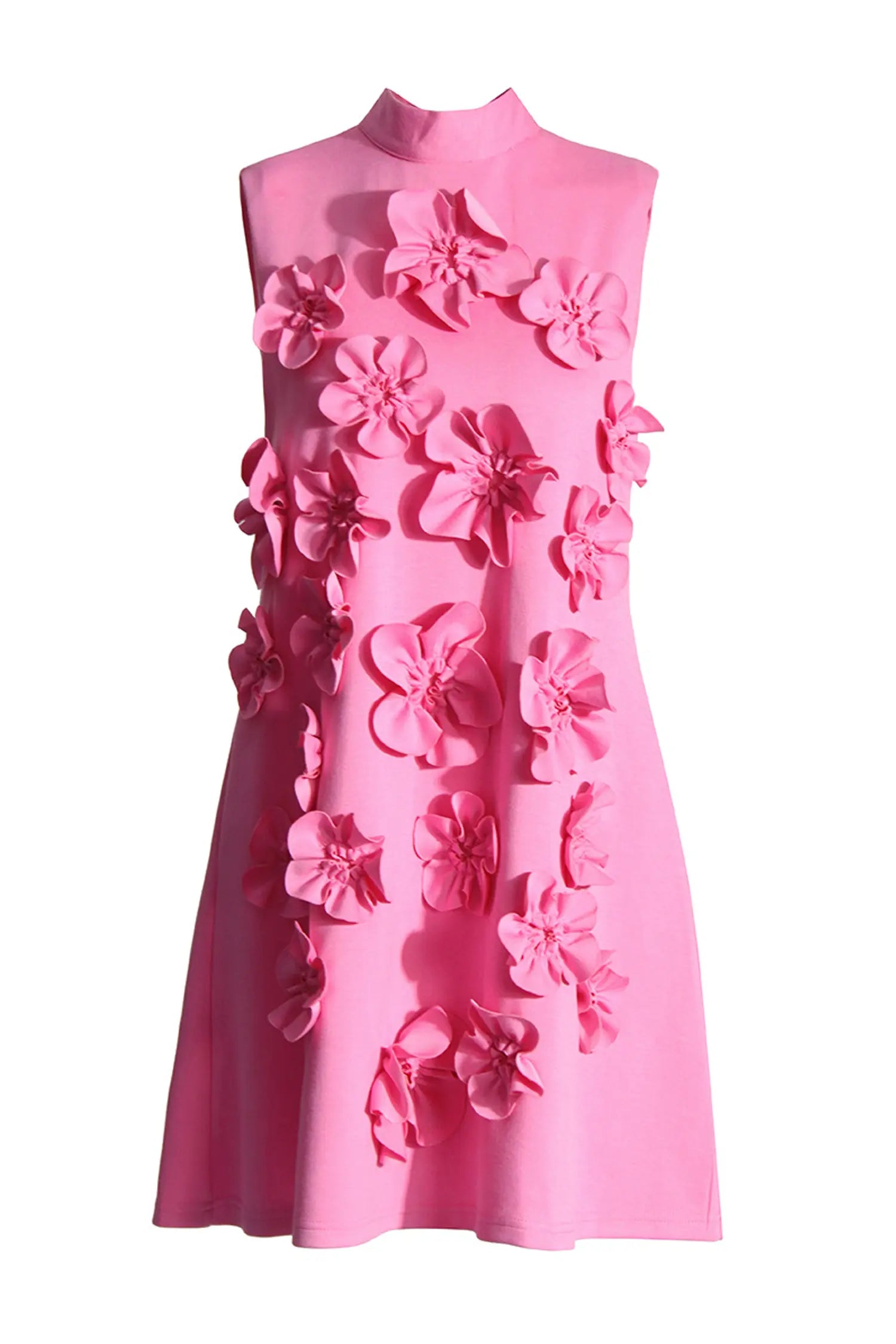 Rose Embroidery High Neck Mini